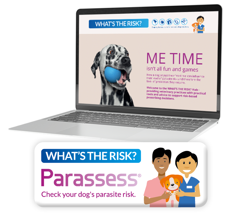 WHAT’S THE RISK? focused practice support