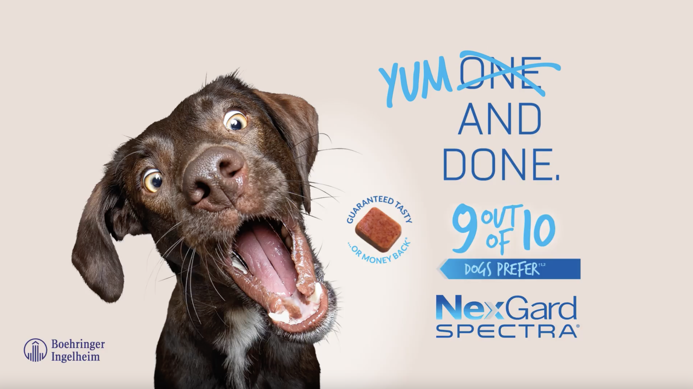 Yum and Done video cover