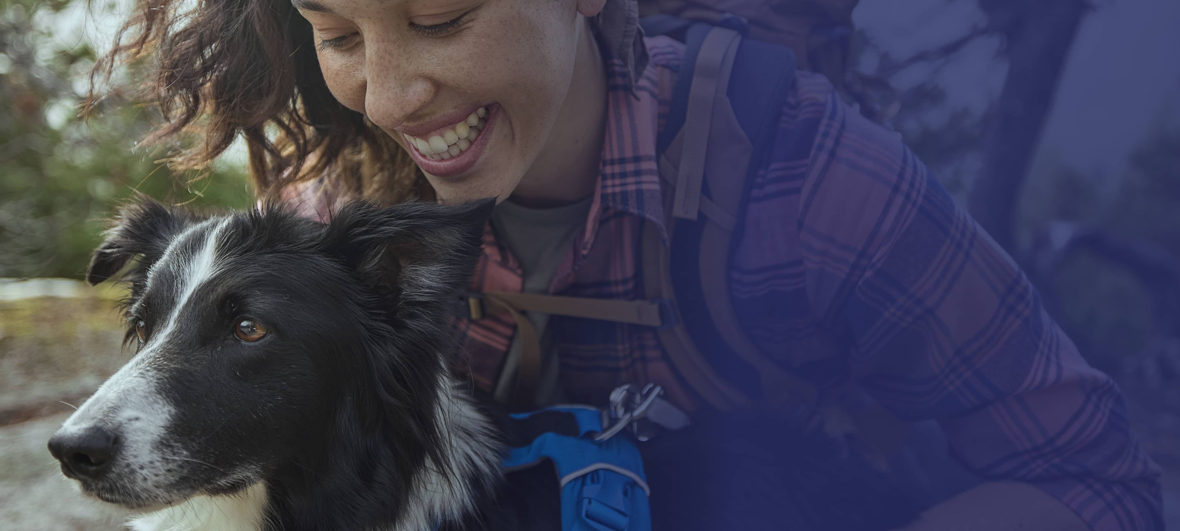 What’s your pet’s risk of parasites?