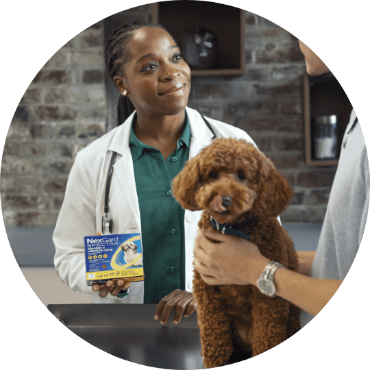 FAQ 18