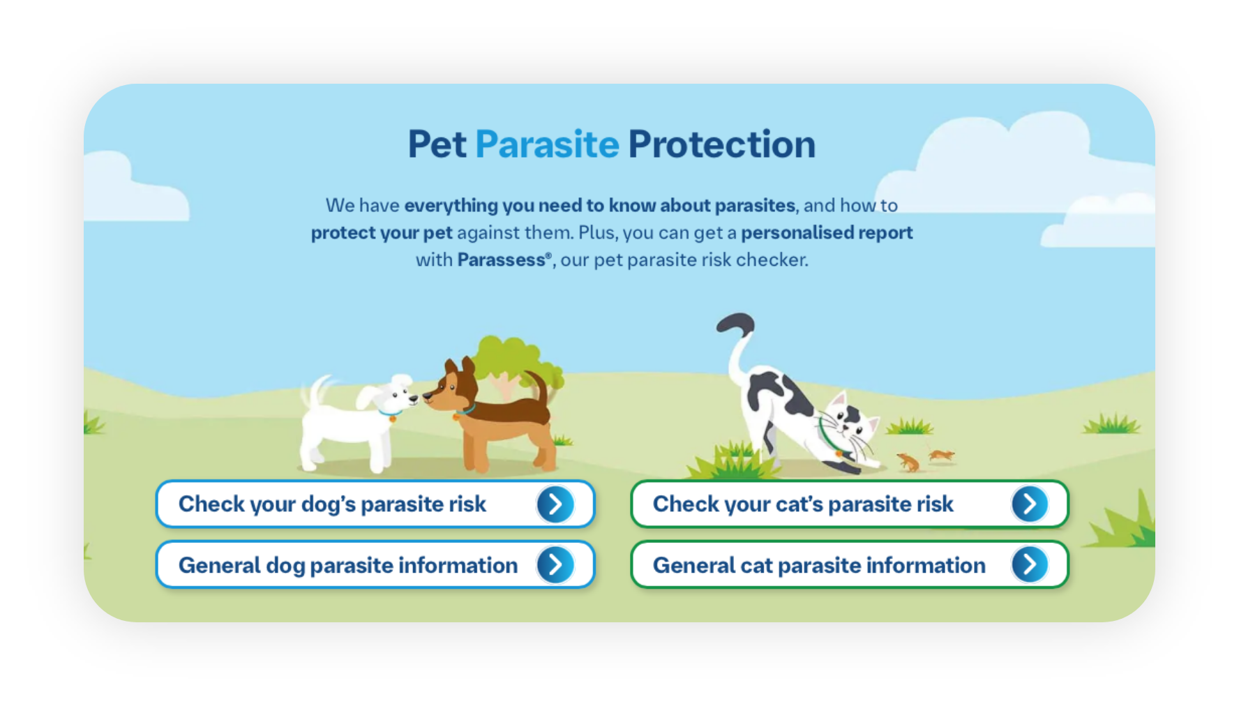 Pet Parasite Protection
