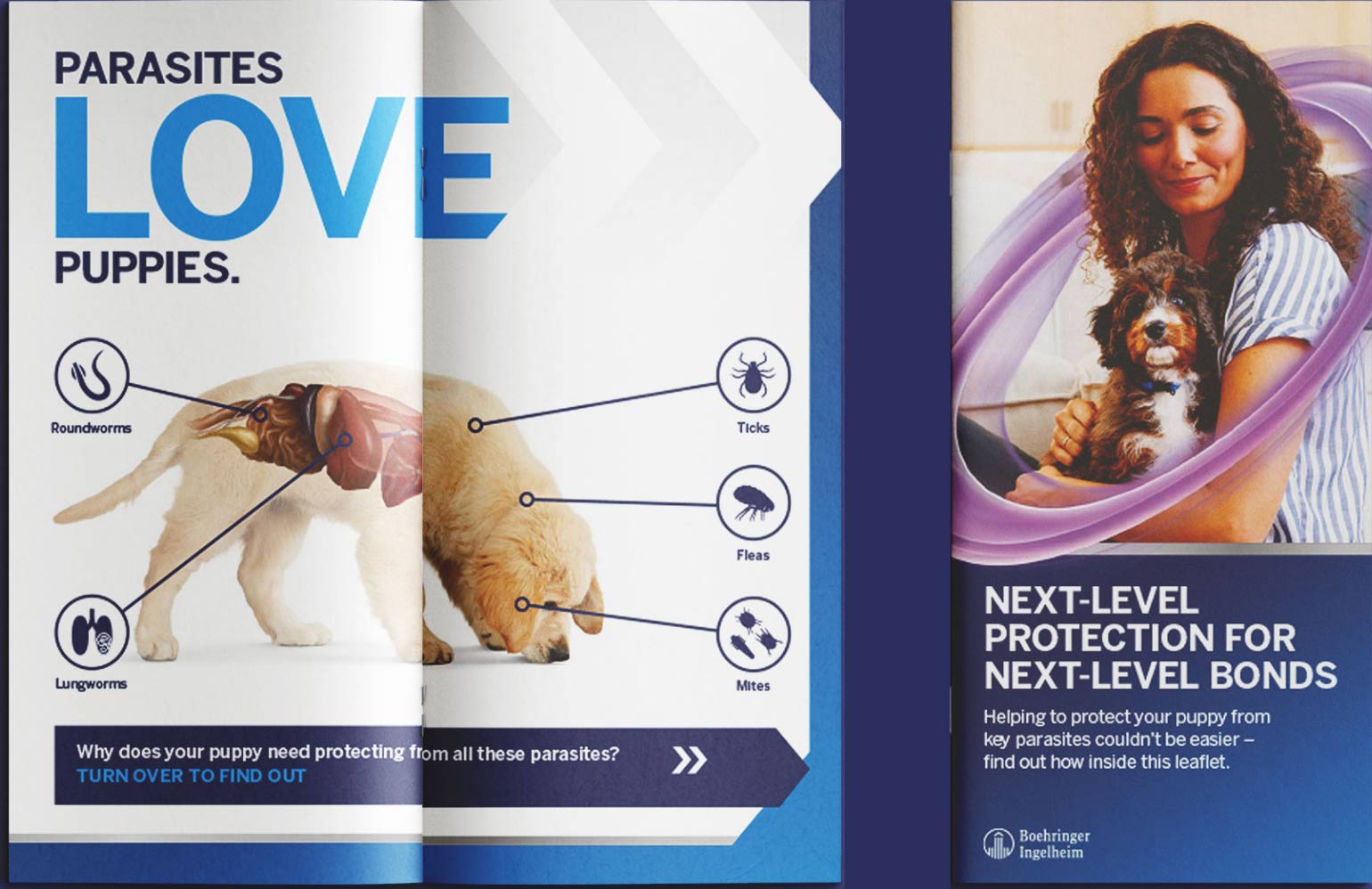 For more information, read the full puppy brochure
