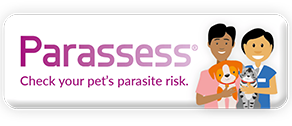 Explore Parassess