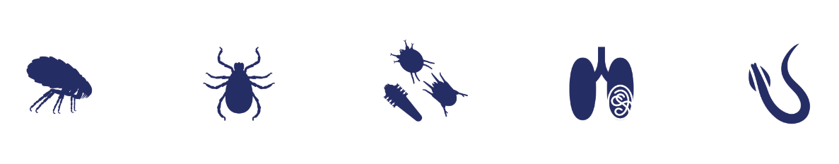parasites